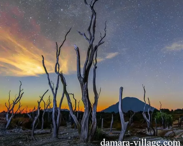 Wisata Alam Gunung Papandayan, Pesona Eksotis Garut