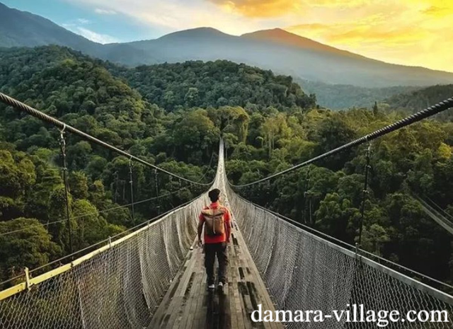 Wisata Alam Situ Gunung Sukabumi yang Wajib Dikunjungi