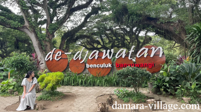 Wisata Alam Hutan De Djawatan Banyuwangi yang Eksotis