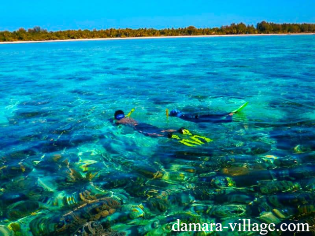 Wisata Alam Wakatobi: Surga Tropis Sulawesi Tenggara